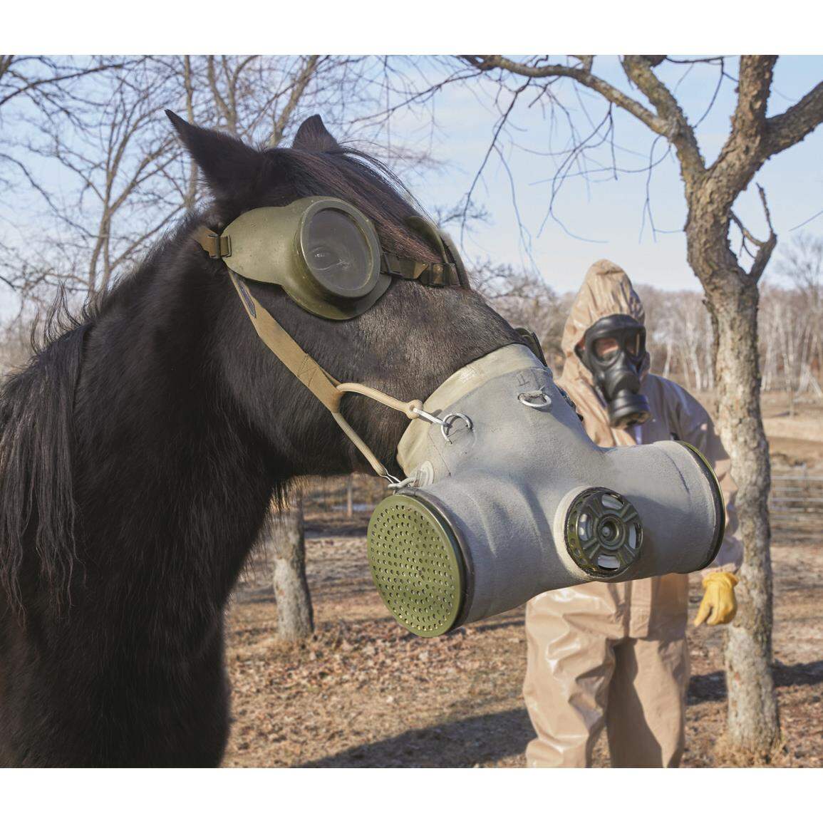 Romanian Military Surplus Horse Gas Mask